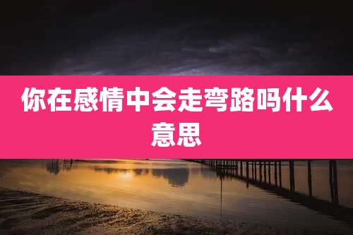 你在感情中会走弯路吗什么意思