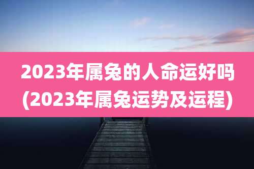 2023年属兔的人命运好吗(2023年属兔运势及运程)