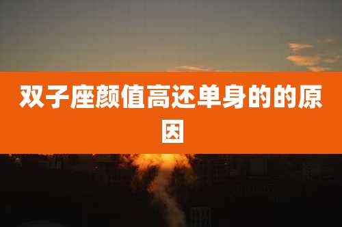 双子座颜值高还单身的的原因
