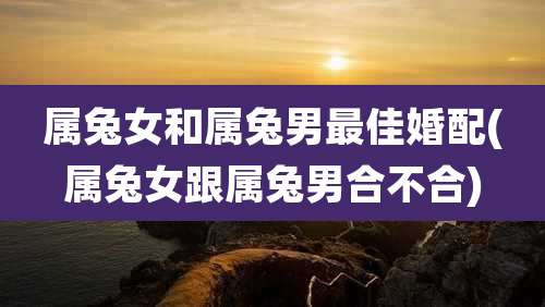 属兔女和属兔男最佳婚配(属兔女跟属兔男合不合)