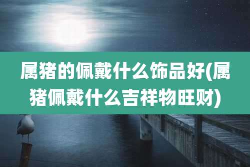 属猪的佩戴什么饰品好(属猪佩戴什么吉祥物旺财)
