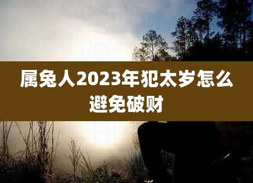 属兔人2023年犯太岁怎么避免破财
