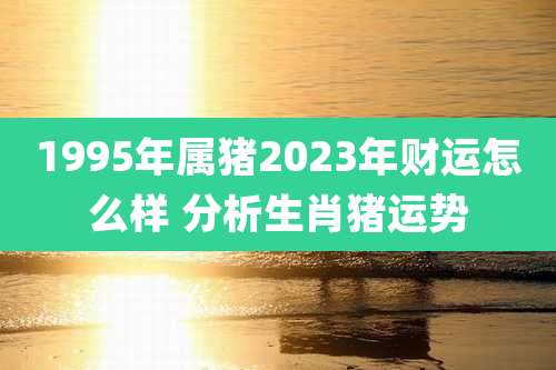 1995年属猪2023年财运怎么样 分析生肖猪运势