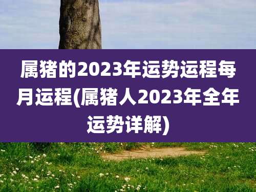 属猪的2023年运势运程每月运程(属猪人2023年全年运势详解)