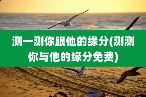 测一测你跟他的缘分(测测你与他的缘分免费)