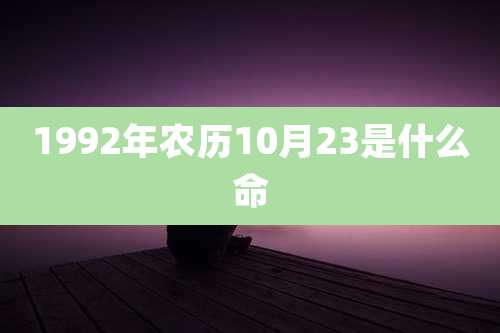 1992年农历10月23是什么命