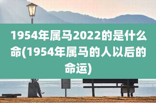 1954年属马2022的是什么命(1954年属马的人以后的命运)