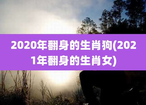 2020年翻身的生肖狗(2021年翻身的生肖女)