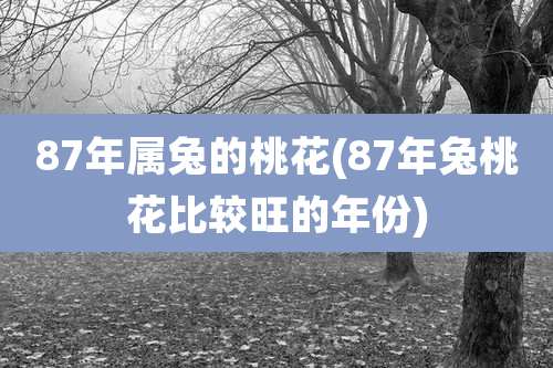 87年属兔的桃花(87年兔桃花比较旺的年份)