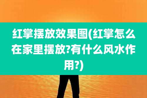 红掌摆放效果图(红掌怎么在家里摆放?有什么风水作用?)