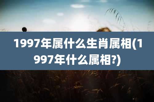 1997年属什么生肖属相(1997年什么属相?)