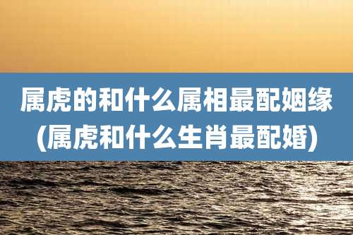 属虎的和什么属相最配姻缘(属虎和什么生肖最配婚)