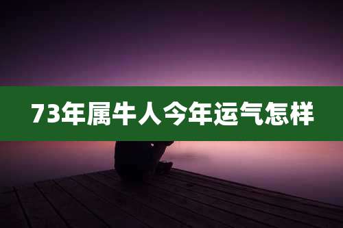 73年属牛人今年运气怎样