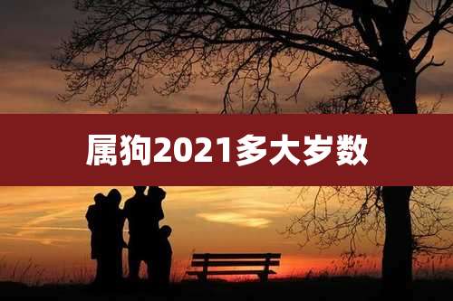 属狗2021多大岁数