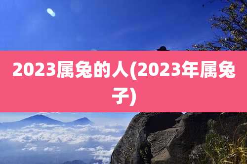 2023属兔的人(2023年属兔子)
