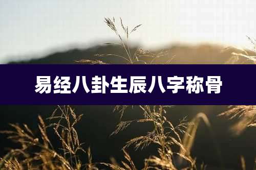 易经八卦生辰八字称骨