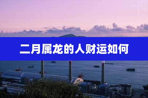 二月属龙的人财运如何