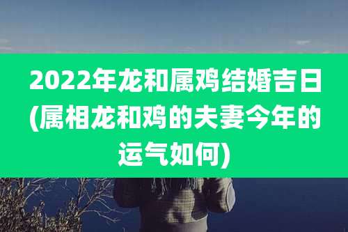 2022年龙和属鸡结婚吉日(属相龙和鸡的夫妻今年的运气如何)