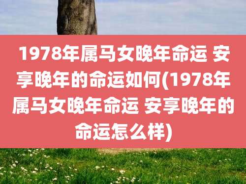 1978年属马女晚年命运 安享晚年的命运如何(1978年属马女晚年命运 安享晚年的命运怎么样)