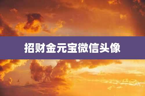 招财金元宝微信头像