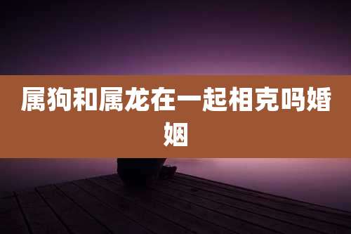 属狗和属龙在一起相克吗婚姻