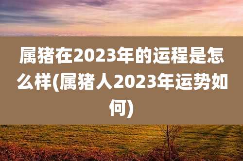 属猪在2023年的运程是怎么样(属猪人2023年运势如何)