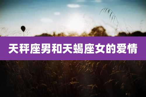 天秤座男和天蝎座女的爱情