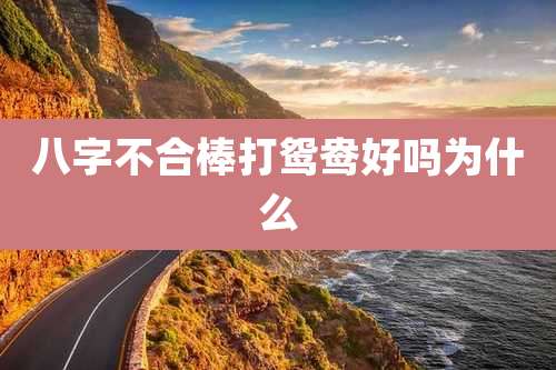 八字不合棒打鸳鸯好吗为什么