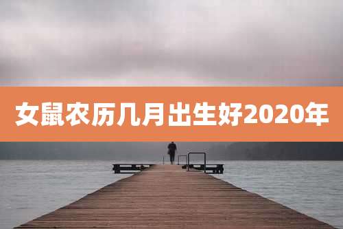 女鼠农历几月出生好2020年