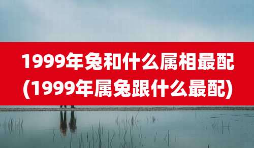 1999年兔和什么属相最配(1999年属兔跟什么最配)