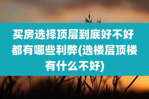 买房选择顶层到底好不好 都有哪些利弊(选楼层顶楼有什么不好)