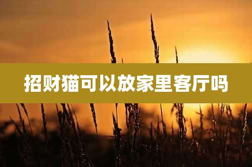 招财猫可以放家里客厅吗