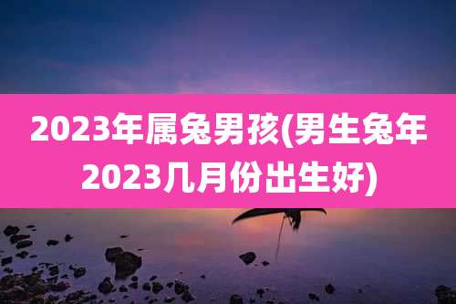 2023年属兔男孩(男生兔年2023几月份出生好)