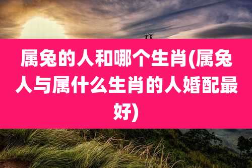 属兔的人和哪个生肖(属兔人与属什么生肖的人婚配最好)