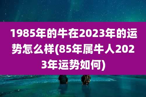 1985年的牛在2023年的运势怎么样(85年属牛人2023年运势如何)