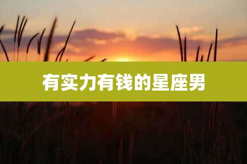 有实力有钱的星座男