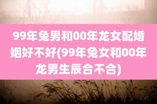 99年兔男和00年龙女配婚姻好不好(99年兔女和00年龙男生辰合不合)
