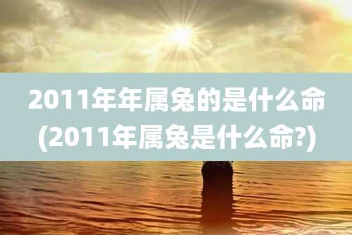 2011年年属兔的是什么命(2011年属兔是什么命?)