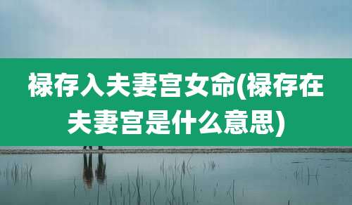 禄存入夫妻宫女命(禄存在夫妻宫是什么意思)