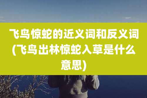 飞鸟惊蛇的近义词和反义词(飞鸟出林惊蛇入草是什么意思)