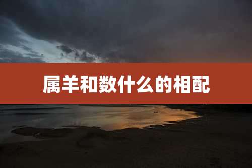 属羊和数什么的相配