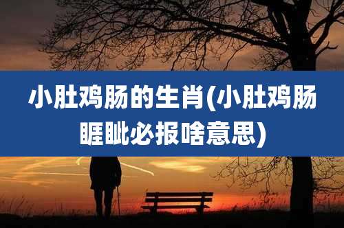 小肚鸡肠的生肖(小肚鸡肠睚眦必报啥意思)