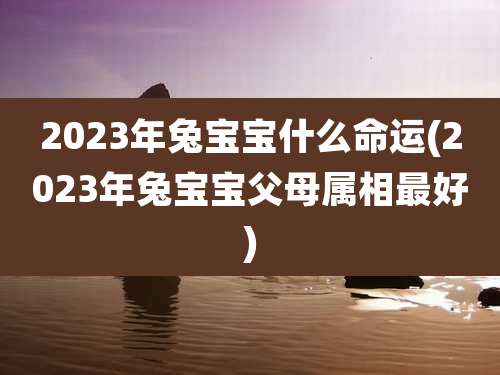 2023年兔宝宝什么命运(2023年兔宝宝父母属相最好)