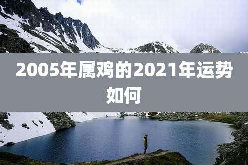 2005年属鸡的2021年运势如何