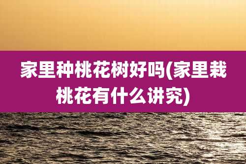 家里种桃花树好吗(家里栽桃花有什么讲究)