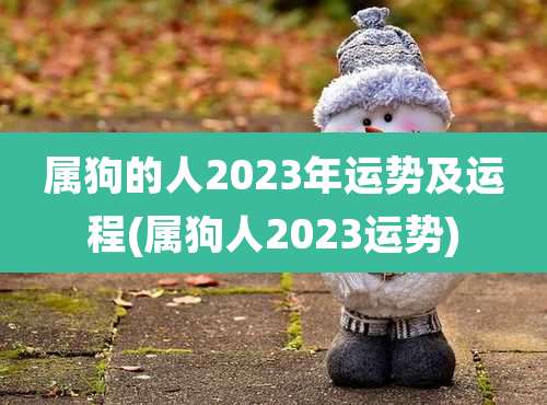 属狗的人2023年运势及运程(属狗人2023运势)
