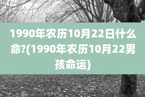 1990年农历10月22日什么命?(1990年农历10月22男孩命运)