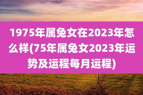 1975年属兔女在2023年怎么样(75年属兔女2023年运势及运程每月运程)