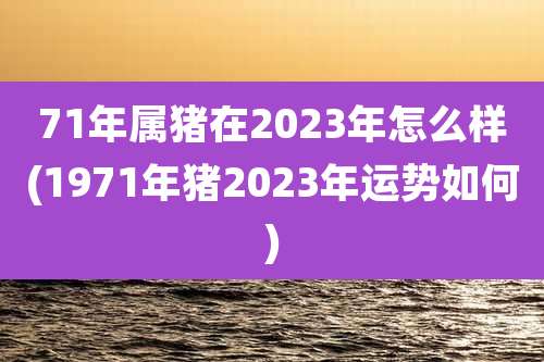 71年属猪在2023年怎么样(1971年猪2023年运势如何)