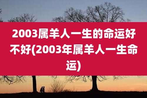 2003属羊人一生的命运好不好(2003年属羊人一生命运)